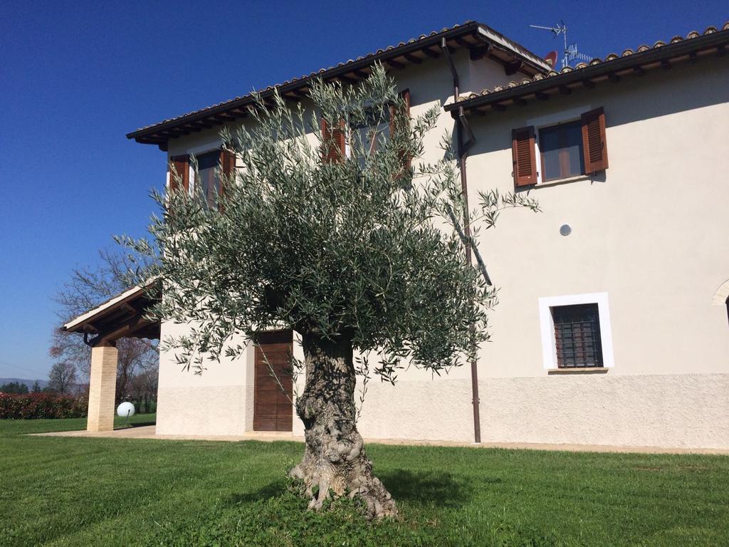 Podere Le Volte Degli Angeli Spello Ngoại thất bức ảnh