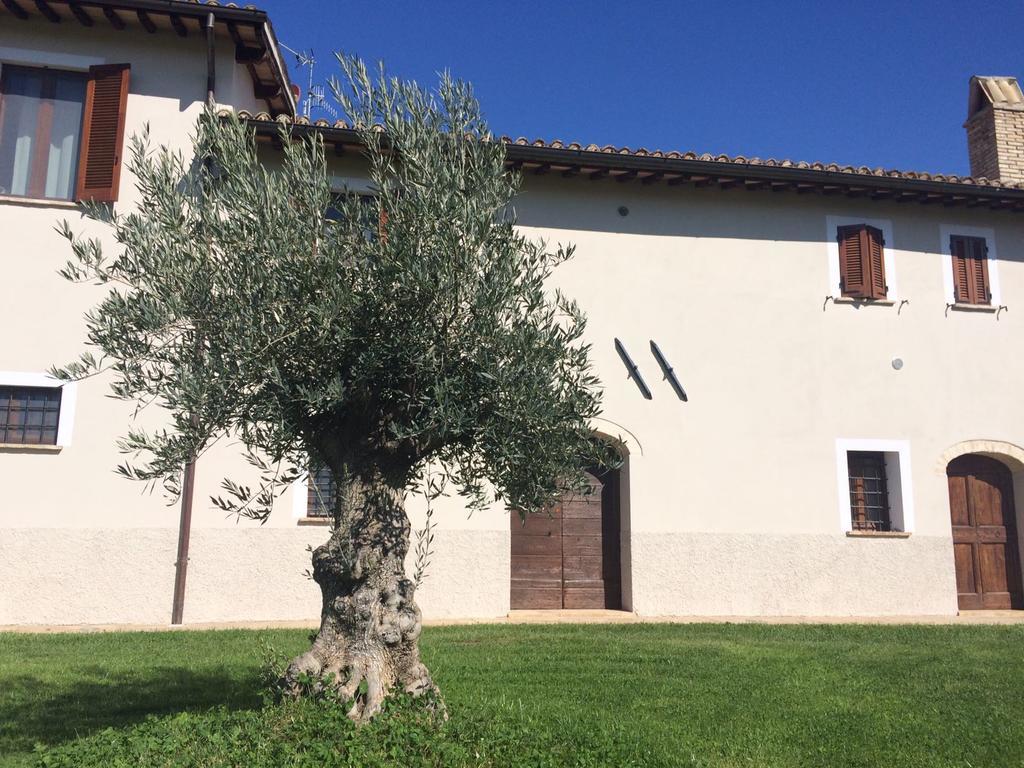 Podere Le Volte Degli Angeli Spello Ngoại thất bức ảnh