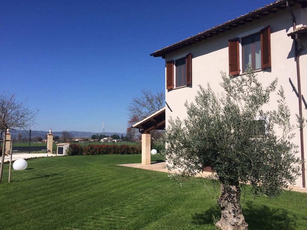 Podere Le Volte Degli Angeli Spello Ngoại thất bức ảnh