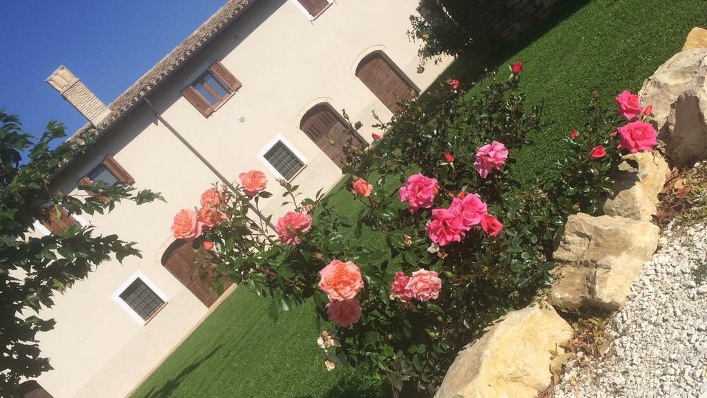 Podere Le Volte Degli Angeli Spello Ngoại thất bức ảnh