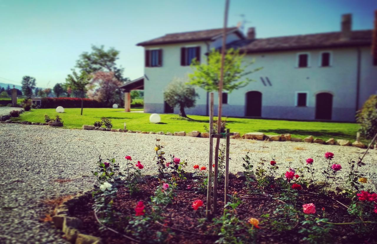 Podere Le Volte Degli Angeli Spello Ngoại thất bức ảnh