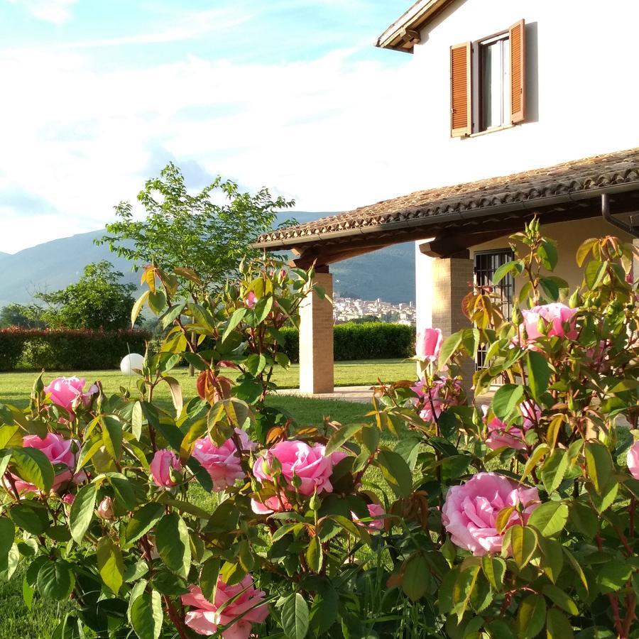 Podere Le Volte Degli Angeli Spello Ngoại thất bức ảnh